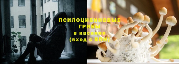 стафф Приозерск
